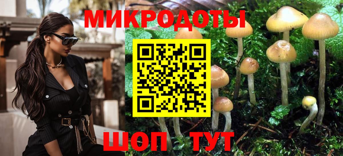 Галлюциногенные грибы Magic Shrooms Нижнекамск