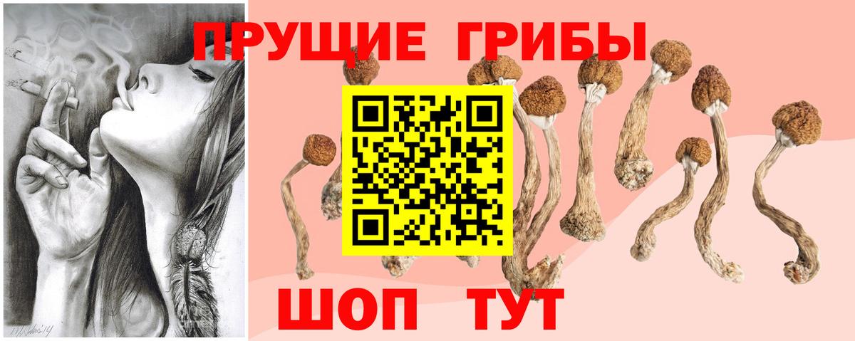 Нижнекамск  Галлюциногенные грибы мицелий  Вход с VPN  Псилоцибиновые грибы Psilocybine cubensis 